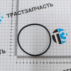 Прокладка водяного насоса (кольцо) большое Ducato RUS (250) 2.3 ТЗ (ТрастЗапчасть) OEM