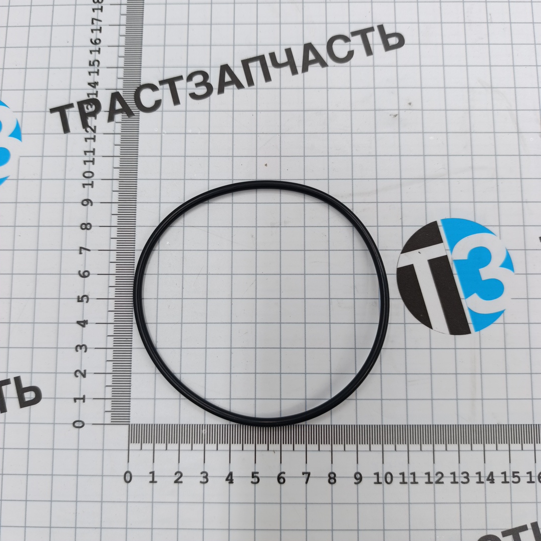 Прокладка водяного насоса (кольцо) большое Ducato RUS (250) 2.3 ТЗ (ТрастЗапчасть) OEM