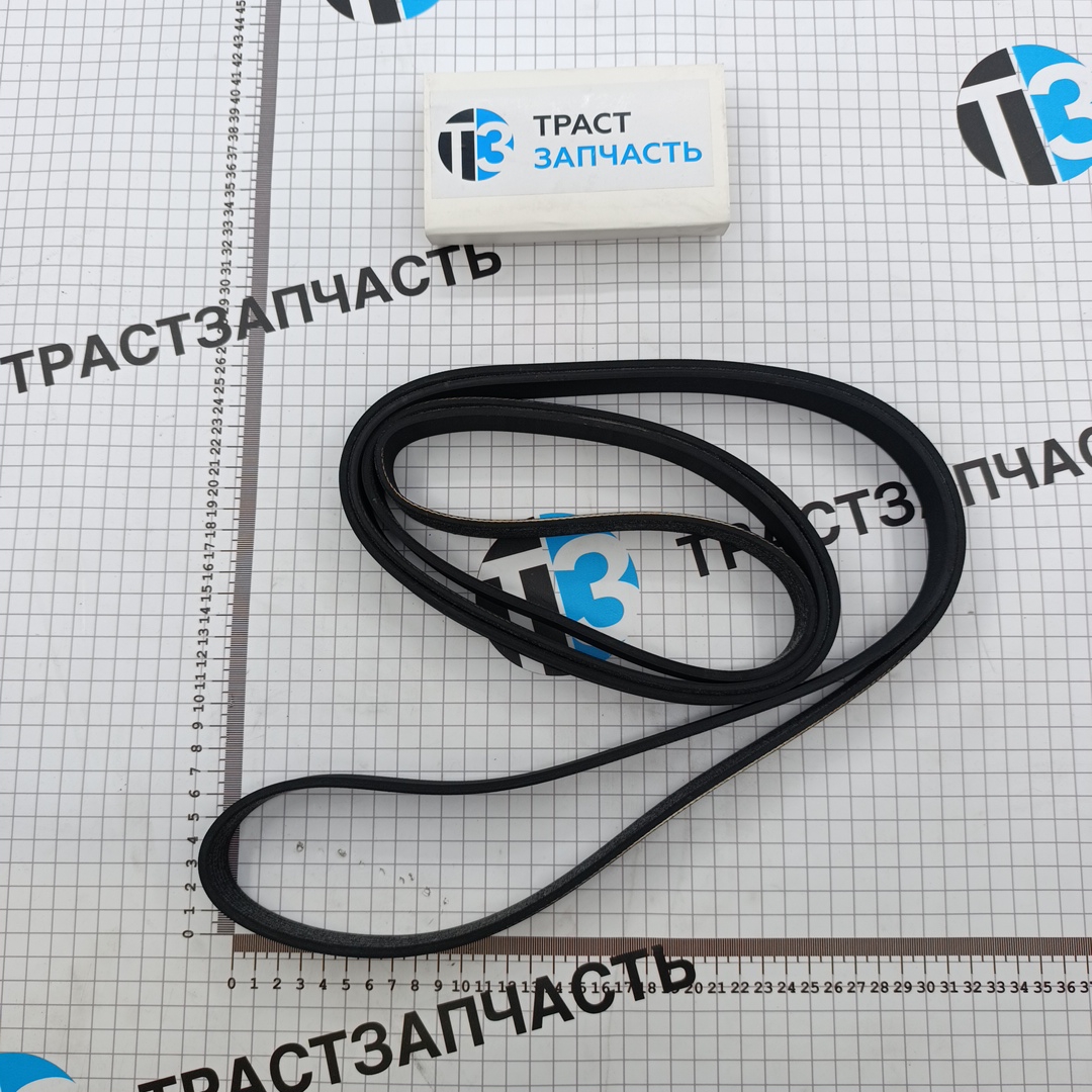 Ремень генератора Ford Transit 2.2 RWD (задний привод, без конд) CC1Q6C301GA/1750992  (ТЗ) ОЕМ - Миниатюра товара 2