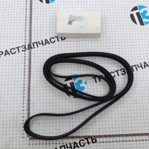 Ремень генератора Ford Transit 2.2 RWD (задний привод, без конд) CC1Q6C301GA/1750992  (ТЗ) ОЕМ