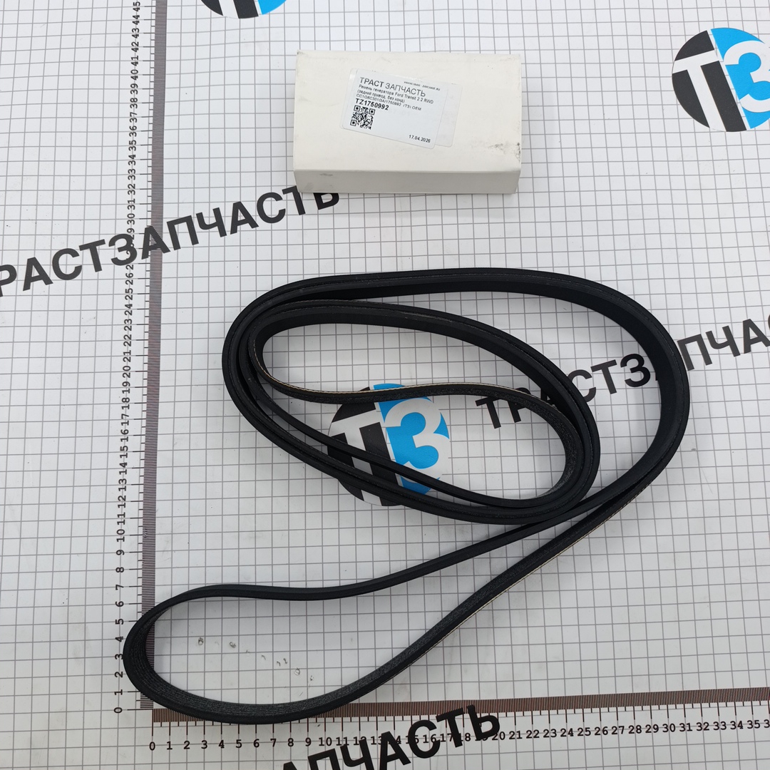 Ремень генератора Ford Transit 2.2 RWD (задний привод, без конд) CC1Q6C301GA/1750992  (ТЗ) ОЕМ - Миниатюра товара 1