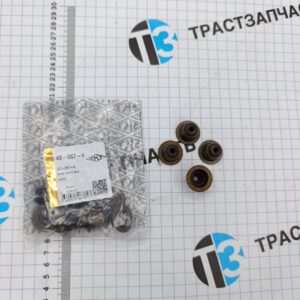 Колпачок маслосъемный Fiat Ducato 2.2 (ЕВРО 6, с 2021-2023г.) 55183812 (SKT)