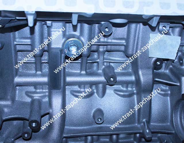 Двигатель без навесного 2,2 FWD ( ЕВРО 5 ) BK2Q6006EA/1608902380/1782109/2323593 FORD OTOCAH - Миниатюра товара 9