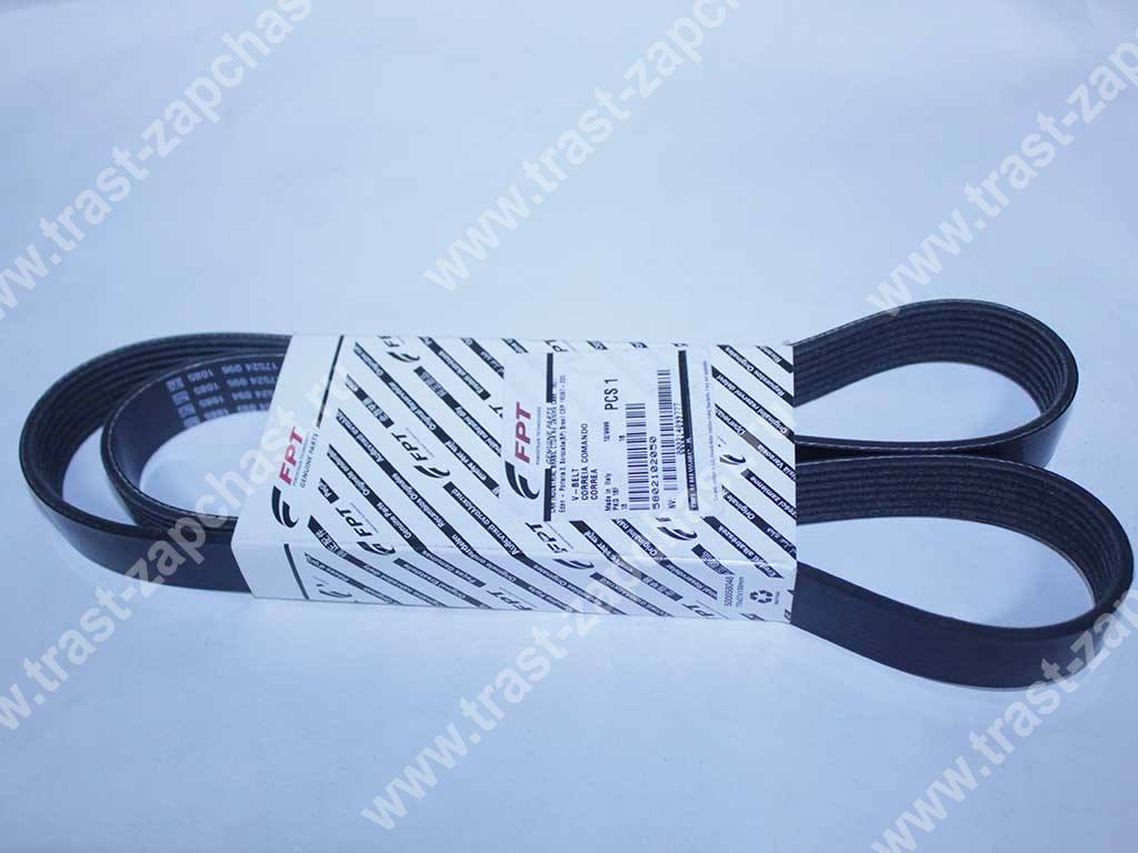 Ремень генератора Iveco Daily 2.3 504000413/5802102050 (7PK1322) ORG IVECO - Миниатюра товара 1