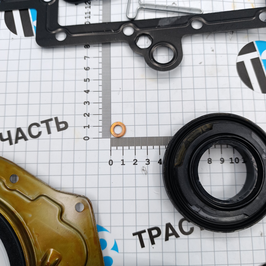 Комплект прокладок двигателя 2,2 Ford Transit,Peugeot Boxer Евро 4 без прокладки ГБЦ SKT - Миниатюра товара 2