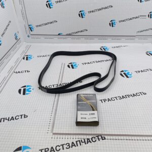 Ремень генератора Ford Transit 2.2 RWD (задний привод, с конд +AC) 7PK3170 DAYCO ARGENTINA