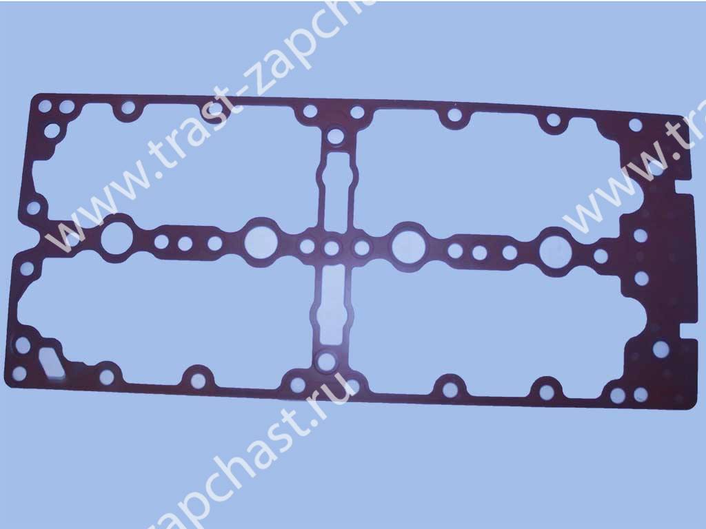 Прокладка клапанной крышки Ducato 2.3 504052452/5801890802/504095295 ORG IVECO - Миниатюра товара 1