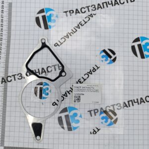 Прокладка вакуумного насоса Ford Peugeot Boxer3-Fiat Ducato3- 2.2 ТЗ (ТрастЗапчасть)