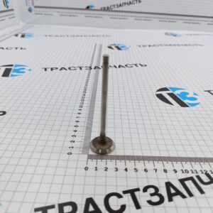 Клапан выпускной Газель Next, Foton Toano 2.8 ISF 5308265/5256949/5712829 TZ