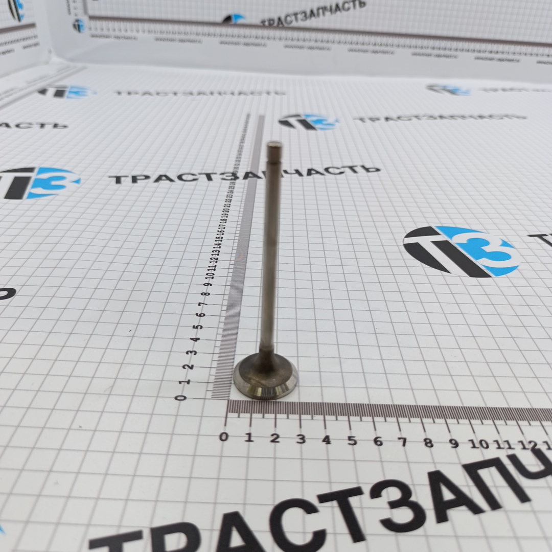 Клапан выпускной Газель Next, Foton Toano 2.8 ISF 5308265/5256949/5712829 TZ - Миниатюра товара 1