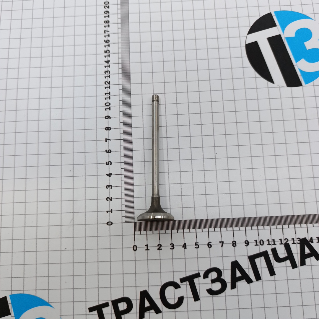 Клапан выпускной Газель Next, Foton Toano 2.8 ISF 5308265/5256949/5712829 TZ - Миниатюра товара 2