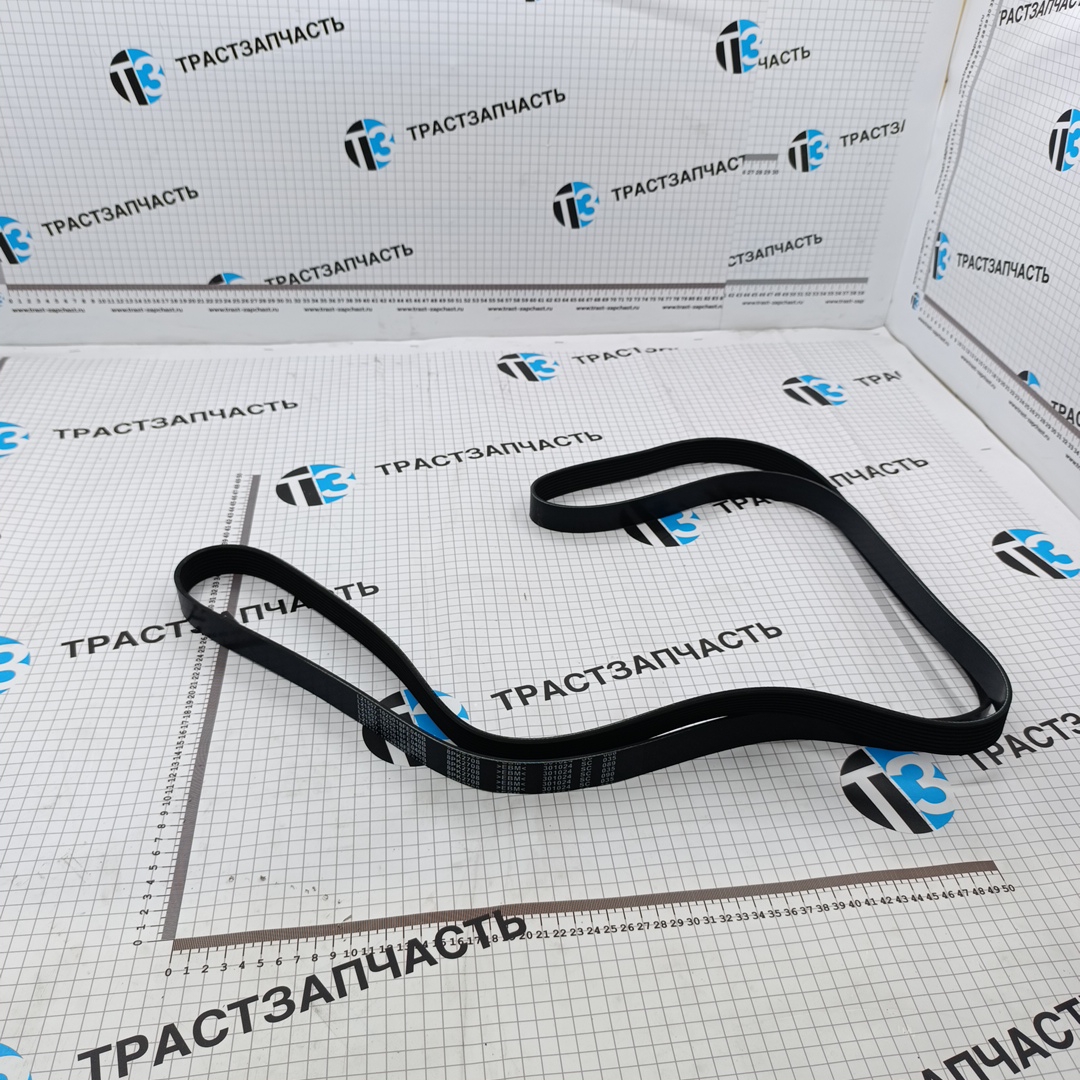 Ремень генератора Sollers Atlant 2.7D (с 2019г. по наст.время ) 8PK2708/1025018FE040B (ТЗ) - Миниатюра товара 1