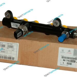Топливная рампа Peugeot Traveller 4  2.0 9674300080/28285170 ORG PSA