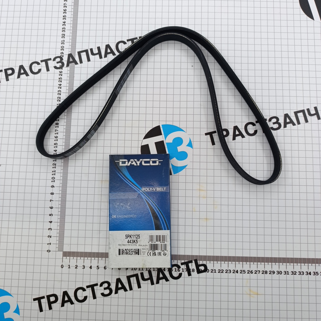 Ремень кондиционера 5PK1125 DAYCO - Миниатюра товара 1
