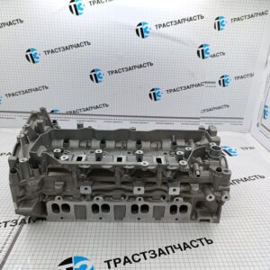 ГБЦ Renault Master III 2.3,Megane 2.0,Trafic II 2.0, Opel Movano 2.3 (двиг. M9R/M9T)(с клапанами) ТЗ